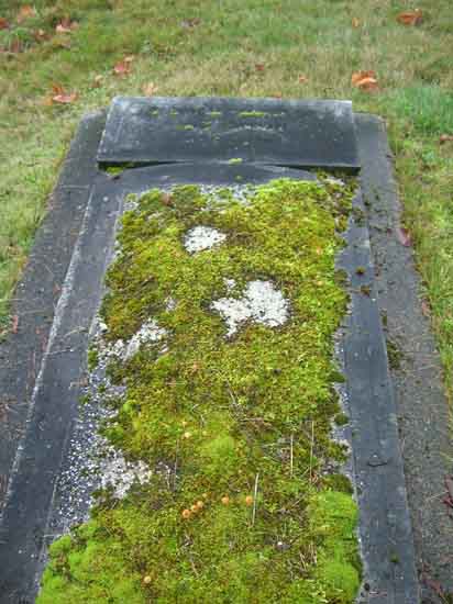 image of gravestone