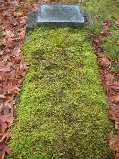 image of gravestone