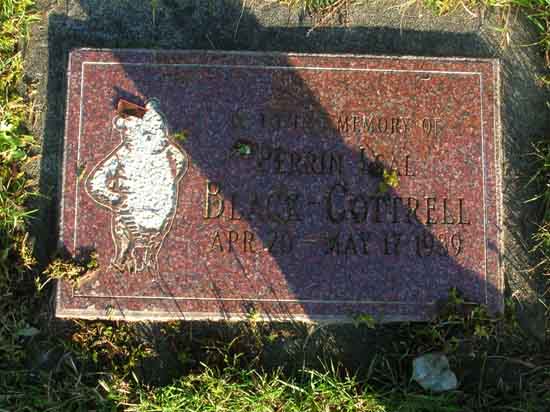 image of gravestone