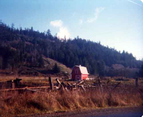 998162009