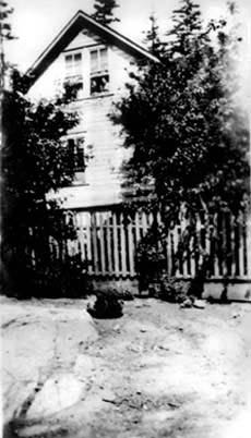 99049036
