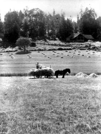 99049041