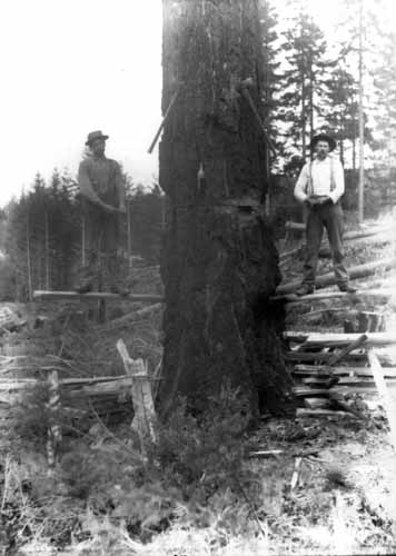 E-5-221