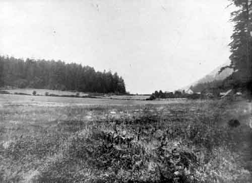 <I>Burgoyne Valley</I>