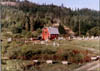 999163084