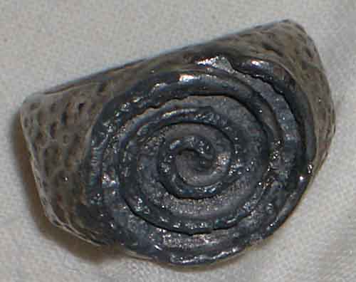 IMGP1101