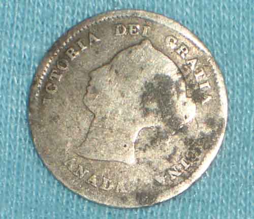 IMGP1105