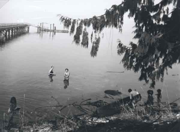 2005007664