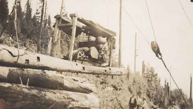 Le treuil hâle les grumes