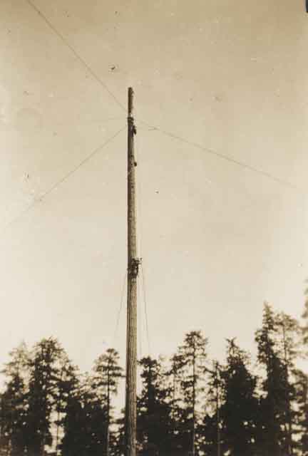 2003011008