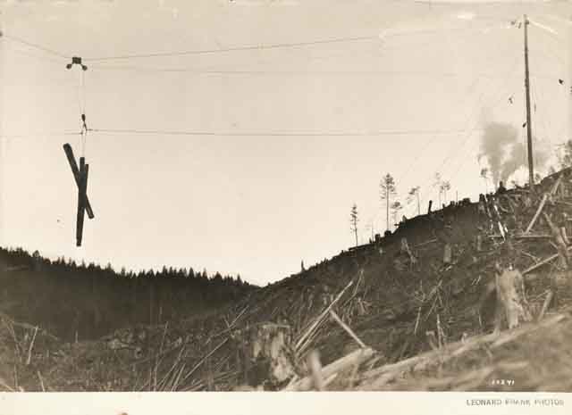 Câble-grue: les grumes sont transportées d'un pylône à l'autre le long d'un câble très tendu.