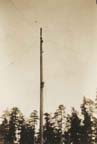 2003011008