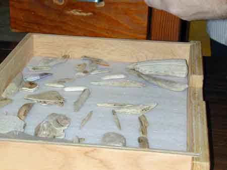 2004024013