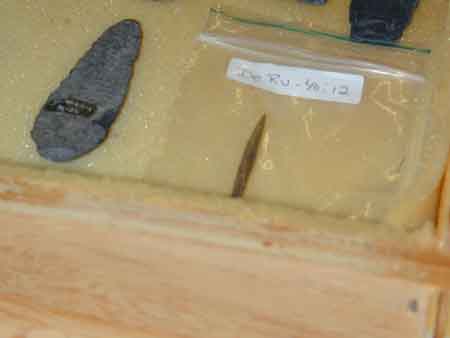 2004024019
