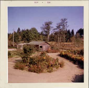 LE JARDIN DES MURAKAMI