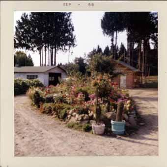 LE JARDIN DES MURAKAMI