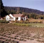 2004005055