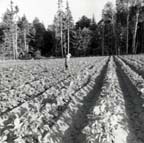 2004005058