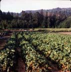 2004005059