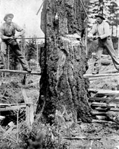 photo of old-fashioned logging
