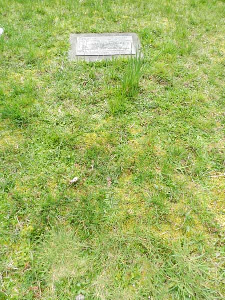 image of gravestone