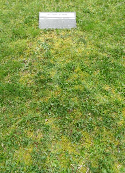 image of gravestone
