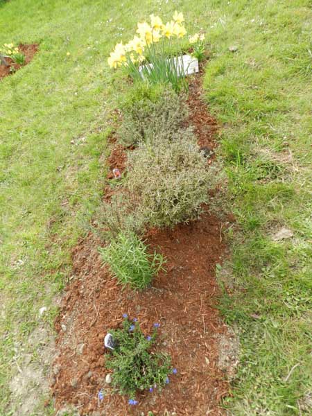 image of gravestone