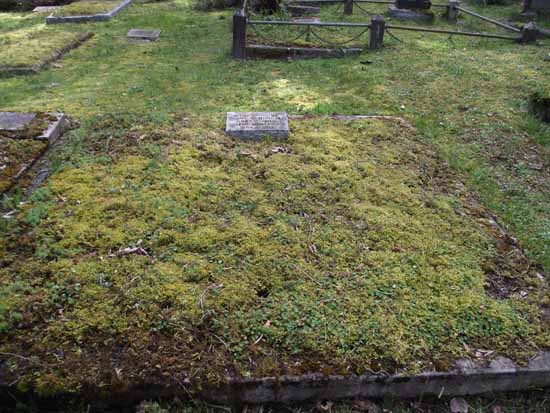 image of gravestone