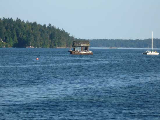 44. REUNION OF HAWAI#1DB481