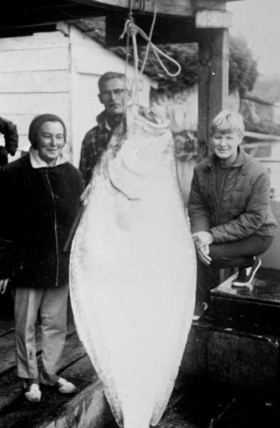 Marshall Sharp Collection photo