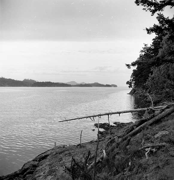 Marshall Sharp Collection photo