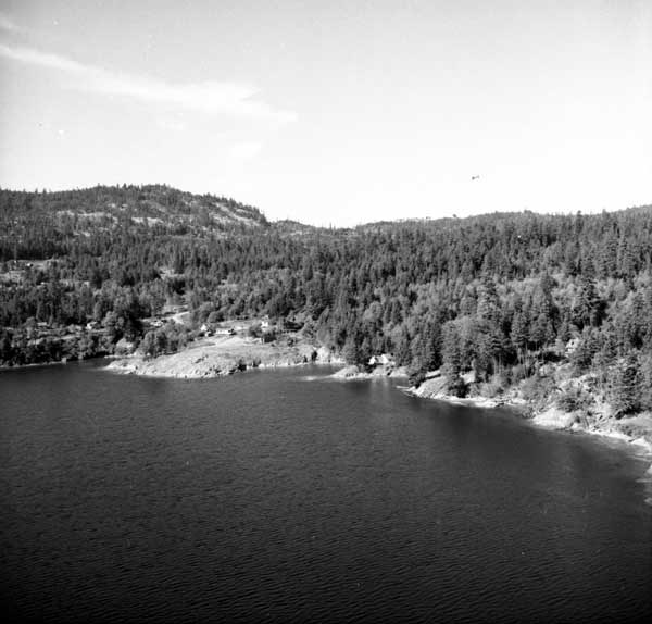 Marshall Sharp Collection photo