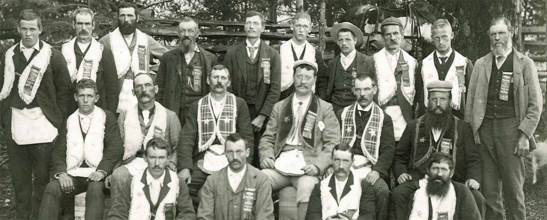 Toynbee Collection photo