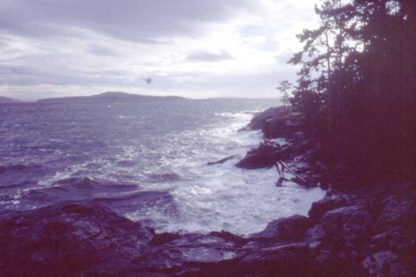 2008032067