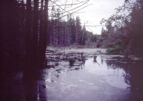 2008032069